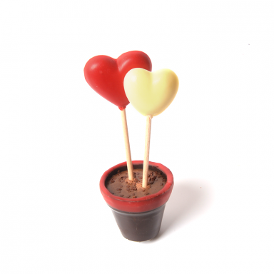 Pot d'amour et sucettes chocolat coeur Saint Valentin ROY chocolatier Paris 16
